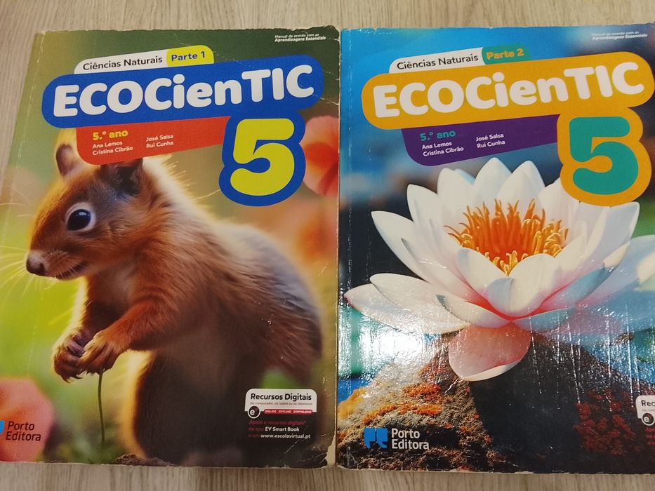 Livros escolares 5 anos