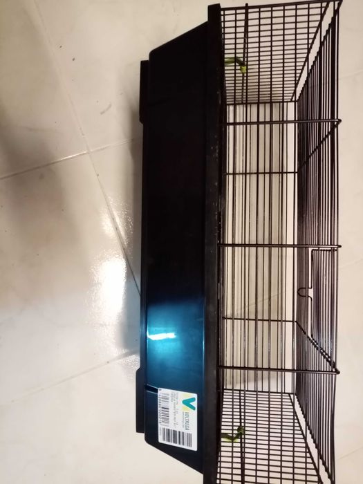 Gaiola hamster media