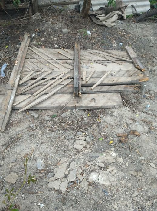 Отдам ветки дрова