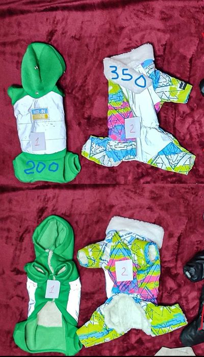 Одяг для маленьких собак