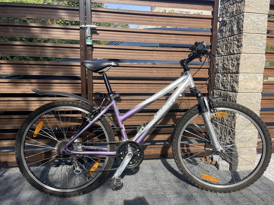 Giant Rock 26” | Rama S | Aluminium | SR Suntour