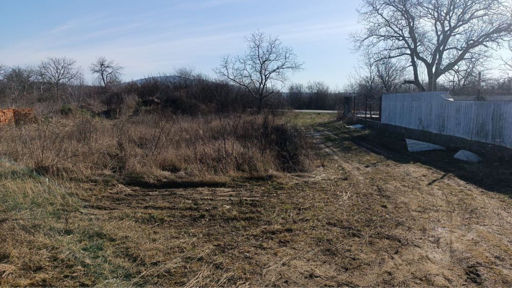 Земельний участок, 10 соток, м.Берегове, Вул. Мочолівська