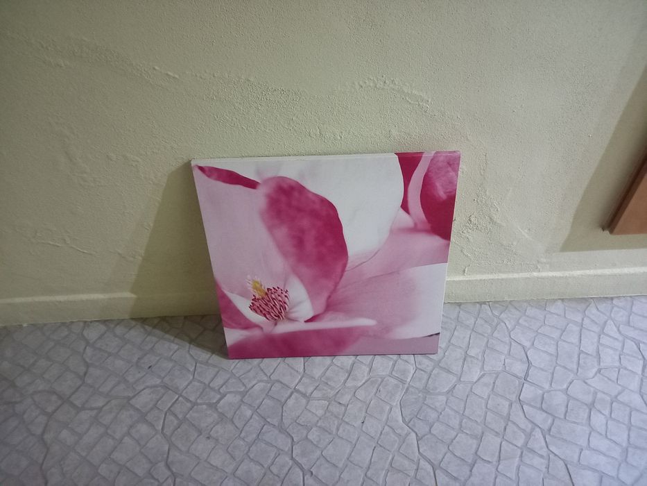Tela decorativa.