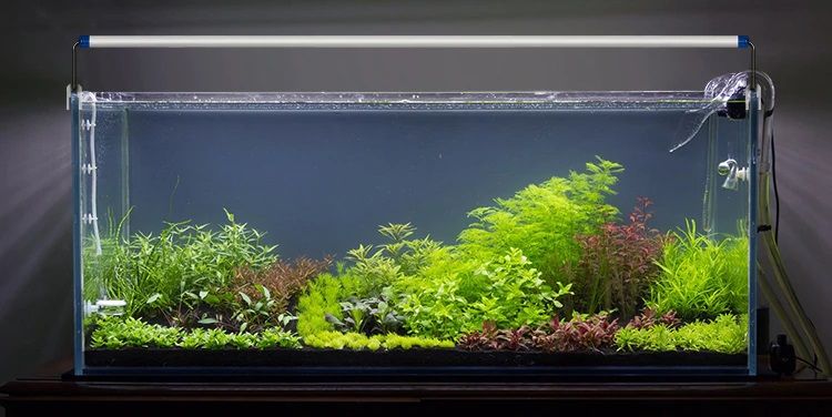 Iluminação LED RGB para aquários SOBO AL-200P (novo)