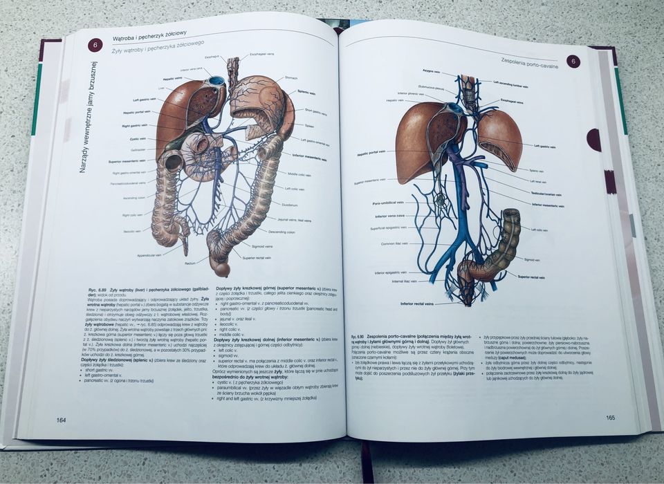 Atlas Anatomii Człowieka" autorstwa Sobotta