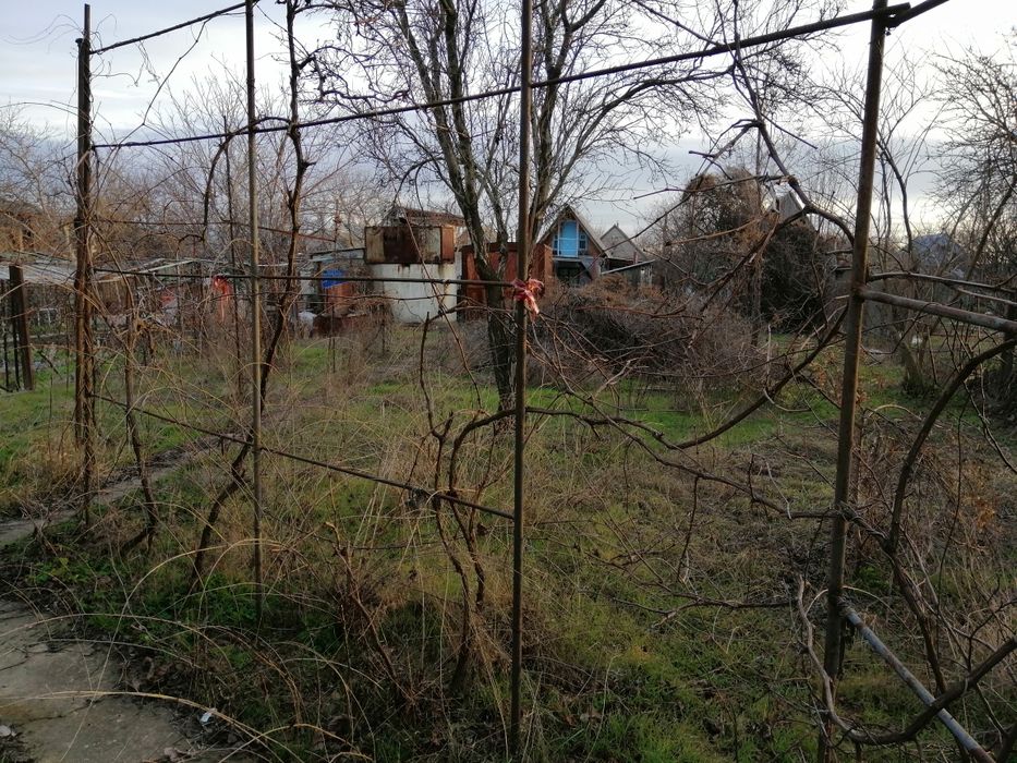 Продам дачу с. Костянтинівка