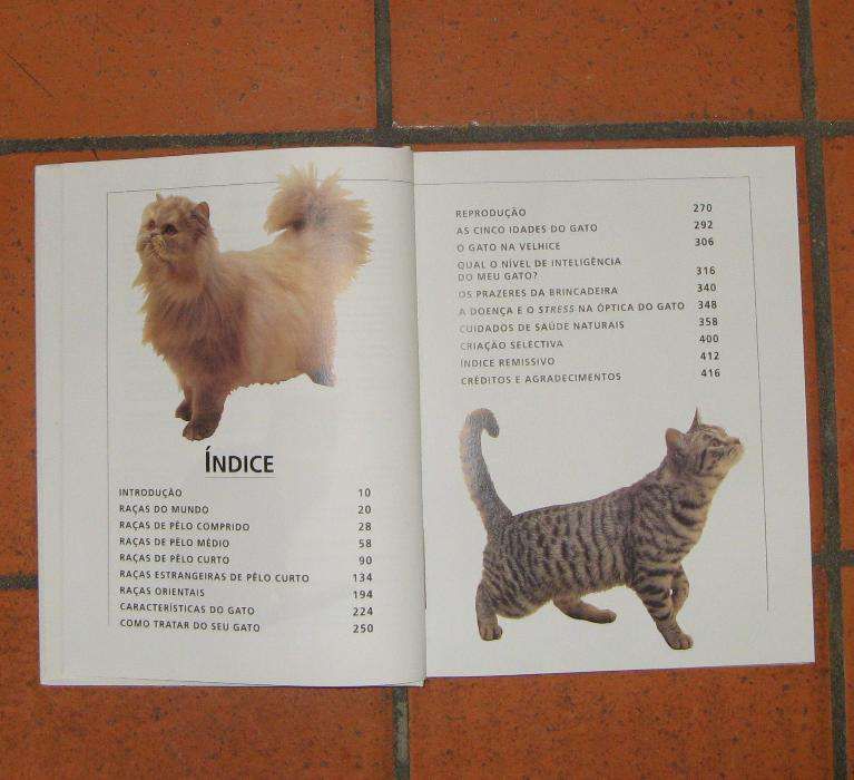 O Livro Gigante do Gato