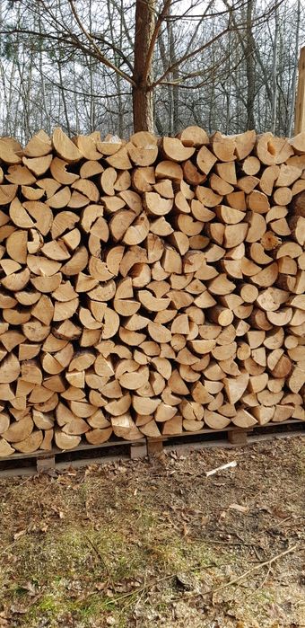 Drewno Opałowe SOSNA