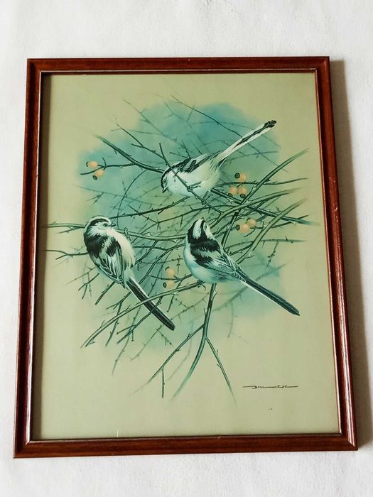 Птахи , синички постер Basil Ede