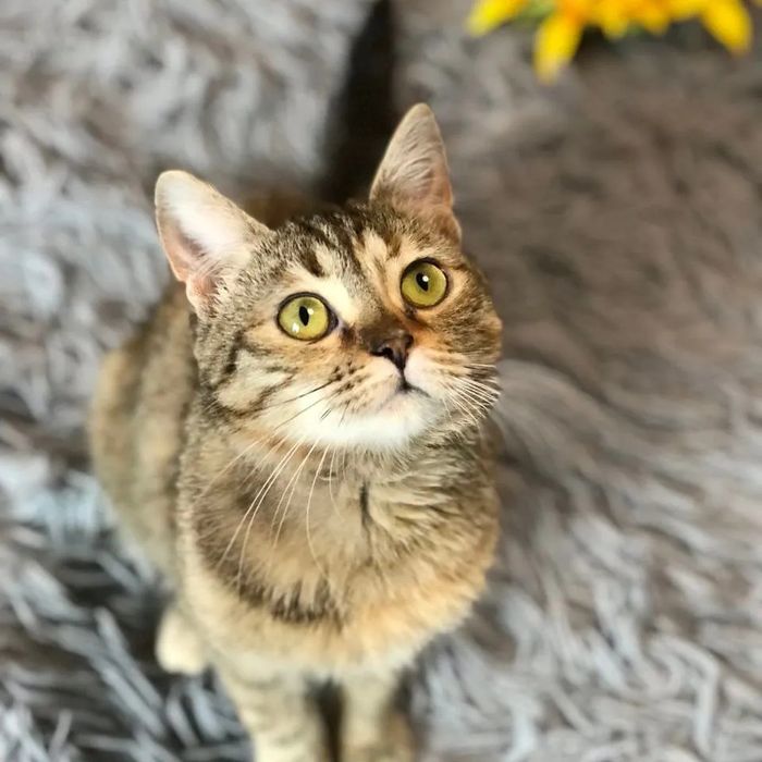 Отдам бесплатно!!