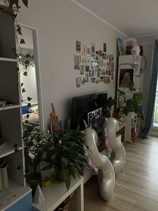 Apartment in Wrocław, Żerniki - Widok 2