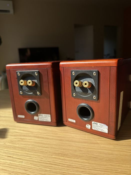 Głośniki JVC SP-EXD1 Wood Cone - para