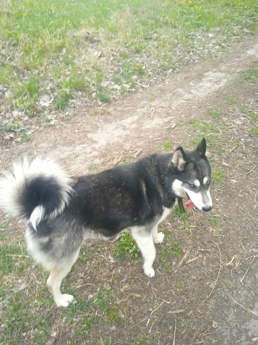 Неймовірно активна