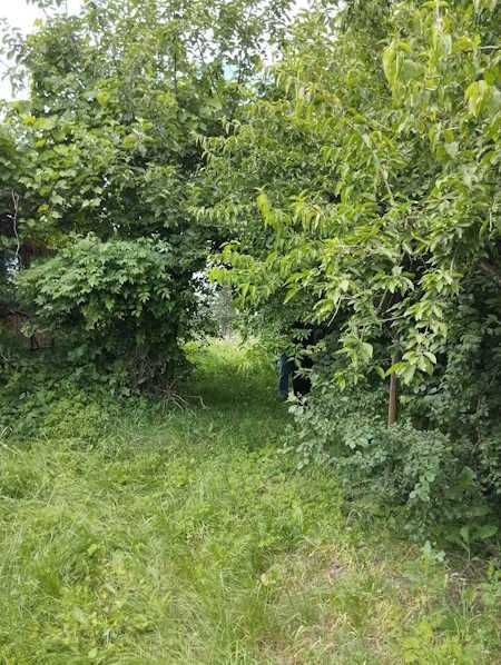 Продаж дачі в Бердичівському районі