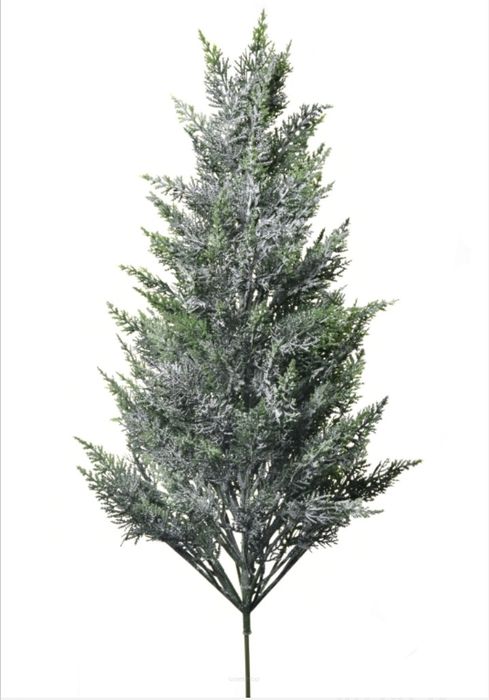 Drzewko tui  świąteczne