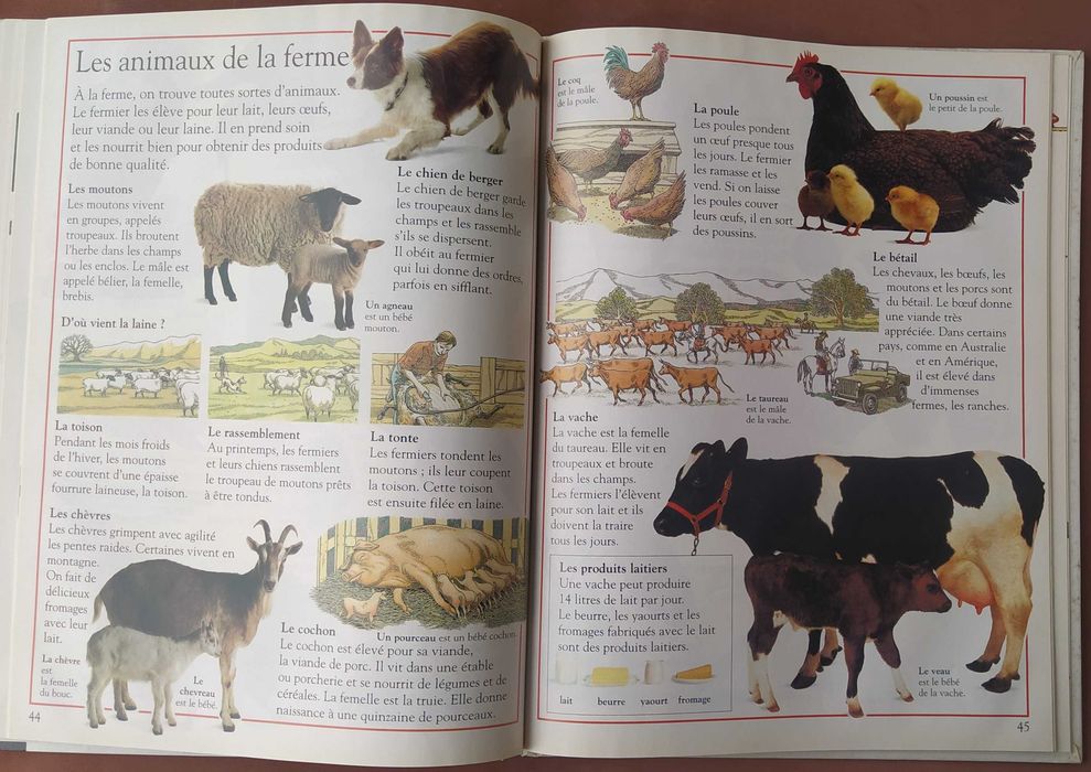 Ma première encyclopédie