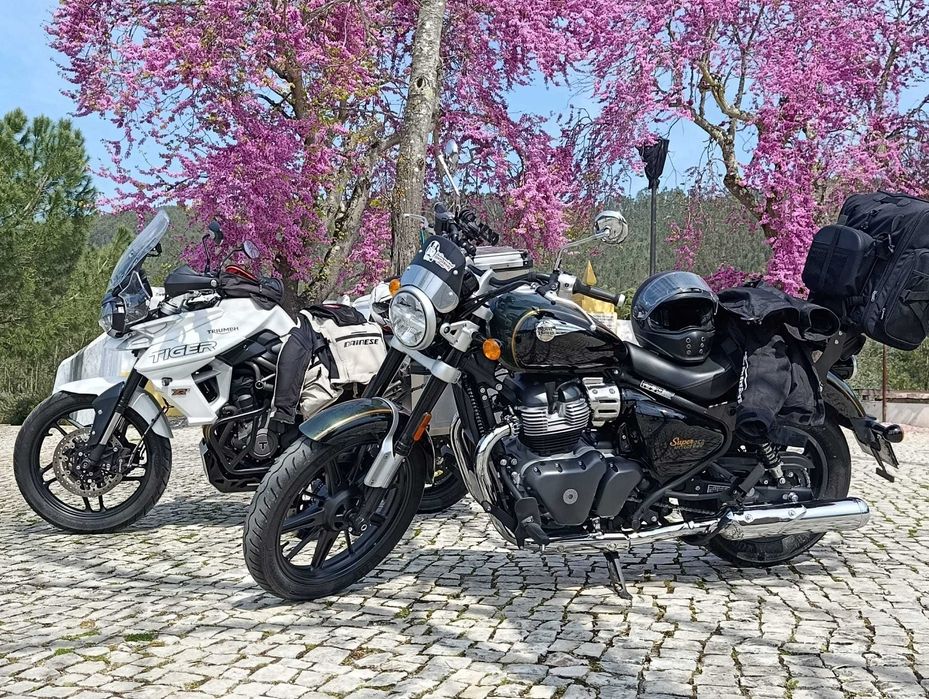 Cruiser Royal Enfield 650
