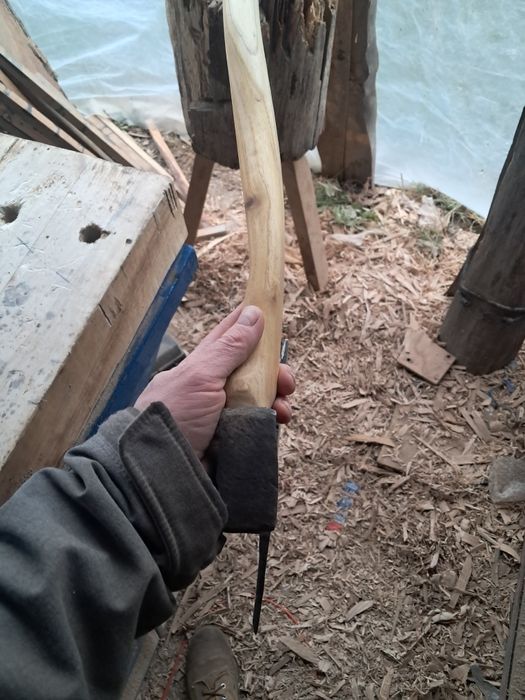 Toporek ciesielski prawy