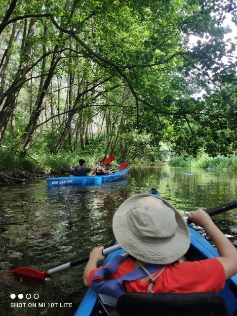 Dom pod lasem Cisza- Spokój.  AKCEPTUJEMY ZWIERZĘTA!!!