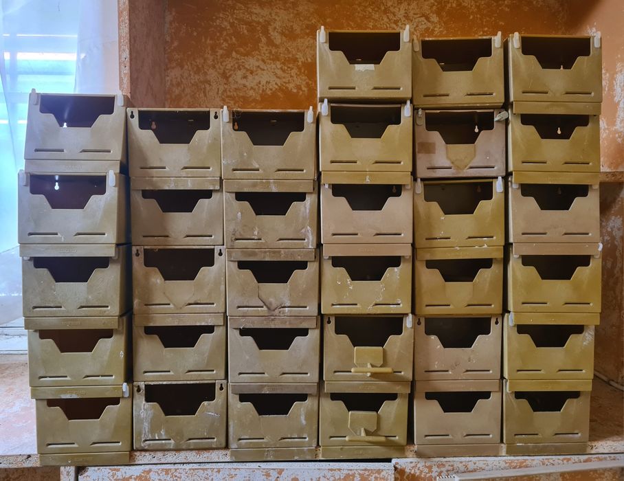 Ninhos para exoticos