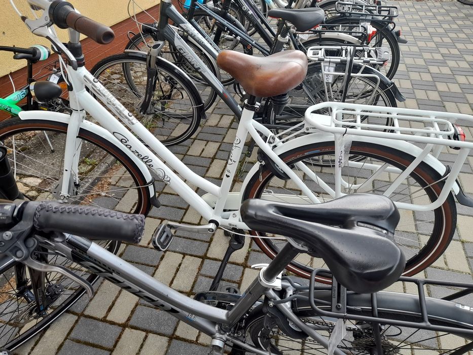 Rowery damskie, męskie, Gazelle, Batavus, Sparta, Sensa, Coga. Świdwin