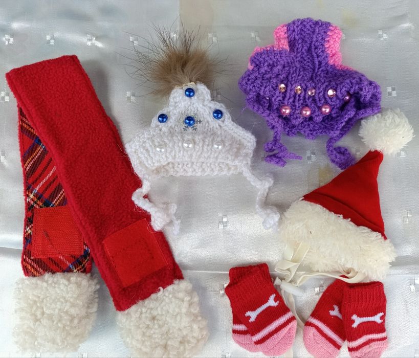 Одяг для маленьких порід собак