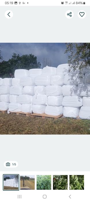 Absorvente em peletes de madeira kit gaiola
