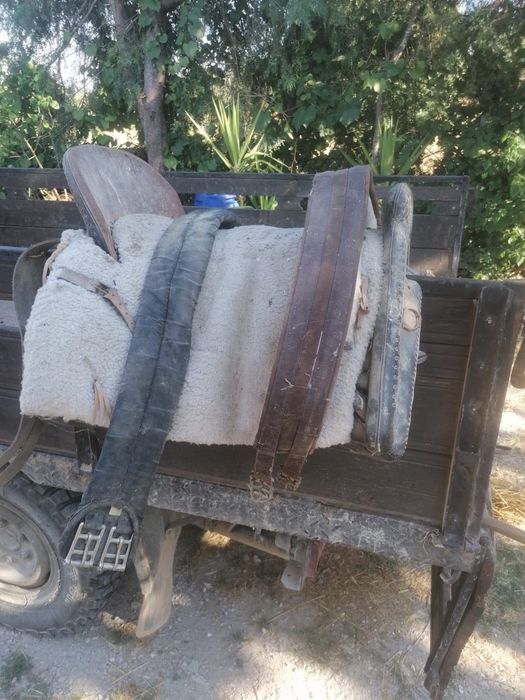 Utensílios para cavalo