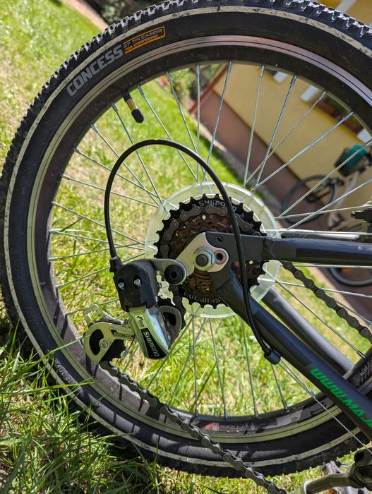 Rower Majdler drakon 2.0 13"