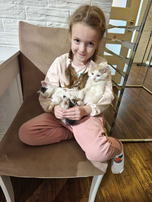 Киця в добрі руки