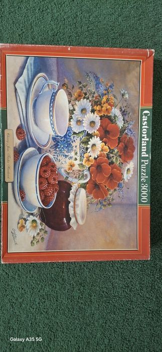 Пазл Casterlend 3000