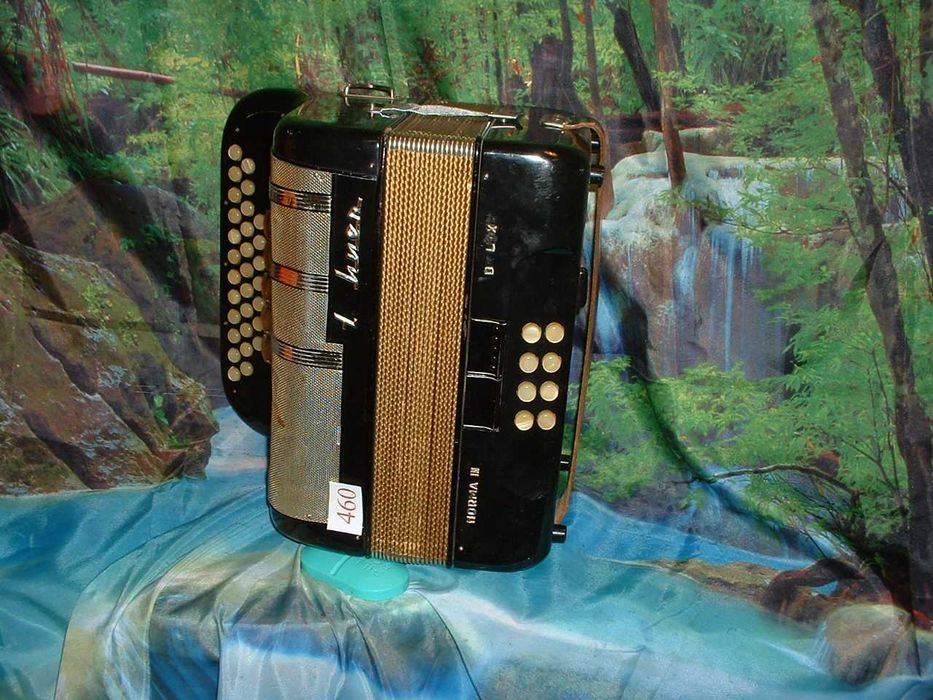 Promoção de Acordeões de concertinas