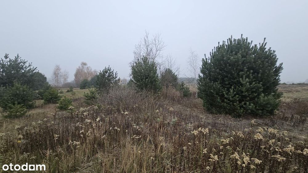 Działka o powierzchni 16800 m2