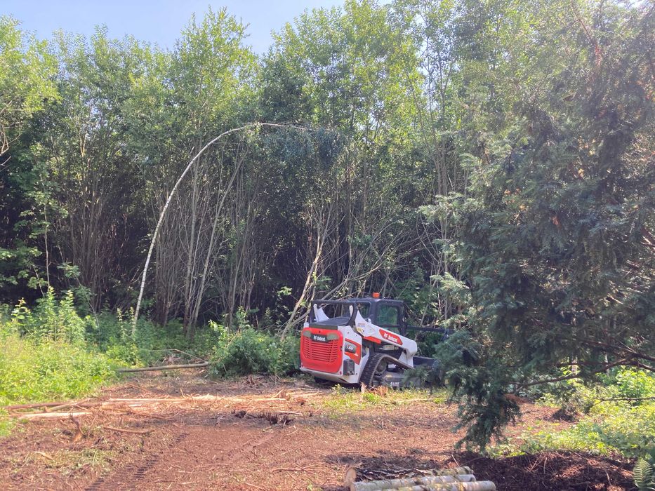 Frezowanie -Mulczer-Wycinka-NIwelacja-Trawnik-Montaż Szamba-Ogrodzeń