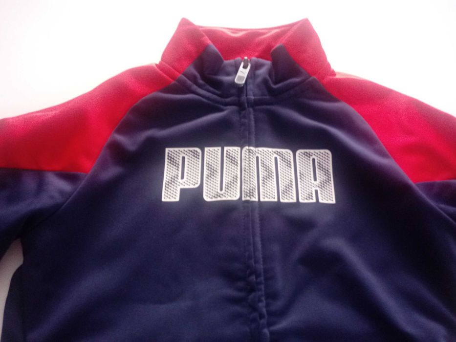 Dres puma 5-6 lat 116 cm.