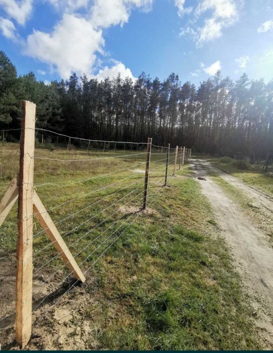 Ogrodzenie tymczasowe budowlane betonowe stemple siatka leśna wycinka