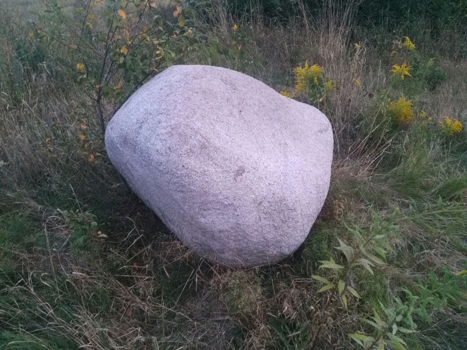 Kamień głaz skalniak