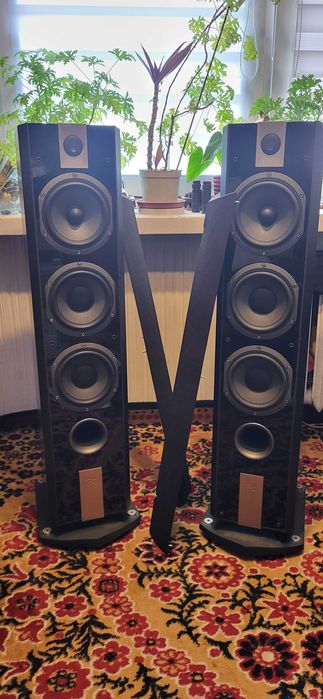 Focal Chorus 826V