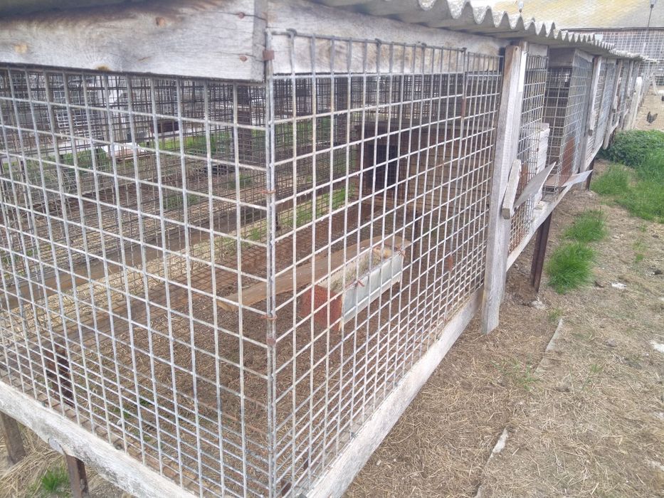 Klatki dla zwierząt, siatki ,kojce,siatki zbrojeniowe