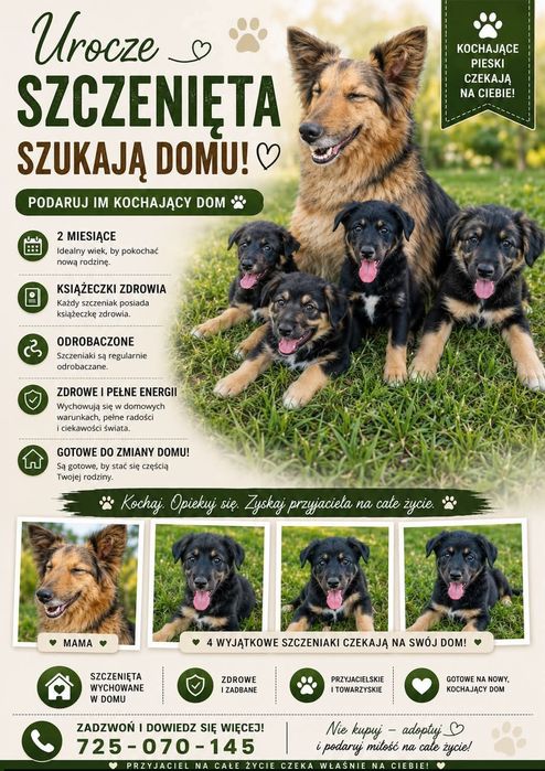 Oddam szczenięta