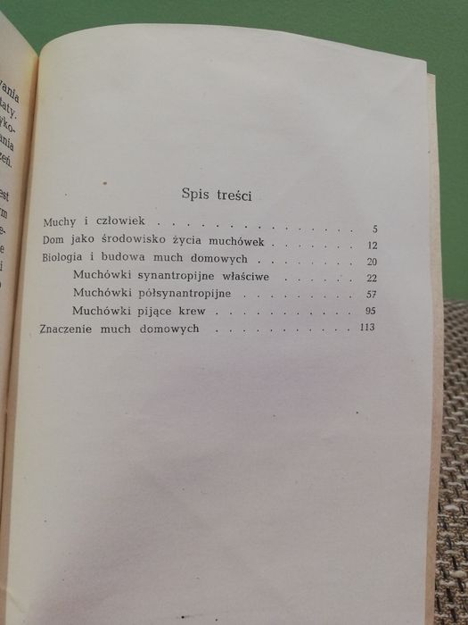 Muchy i człowiek Trojan