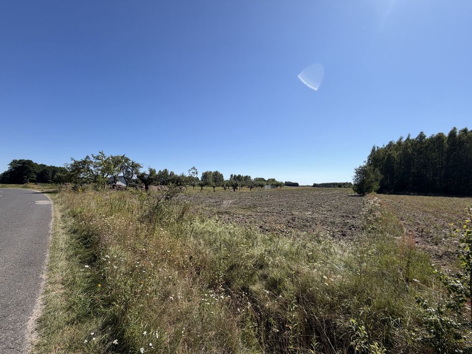 Dzialka 55 arów Antoninów - Widok 2