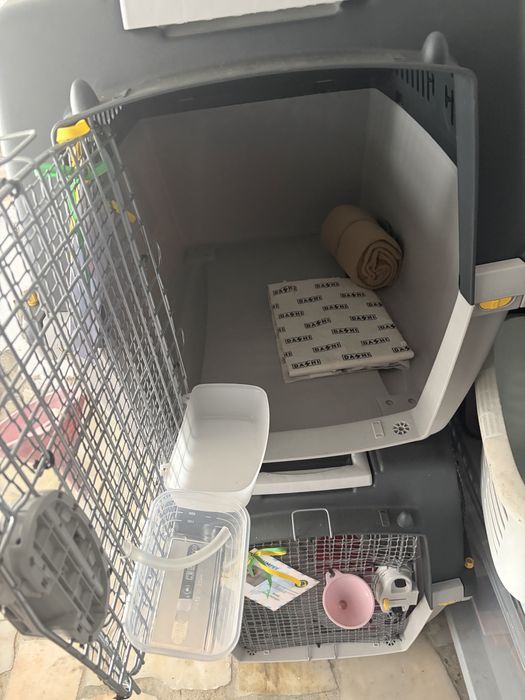 Caixa transportadora para cães