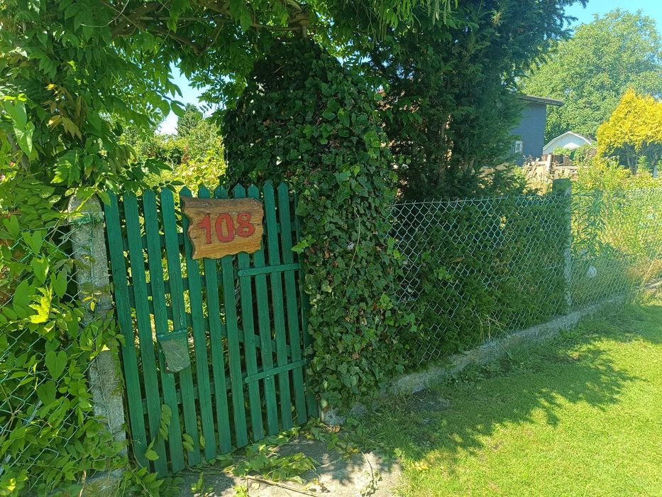 Piękna Działka ROD Jutrzenka Wyspa Pucka - Widok 2