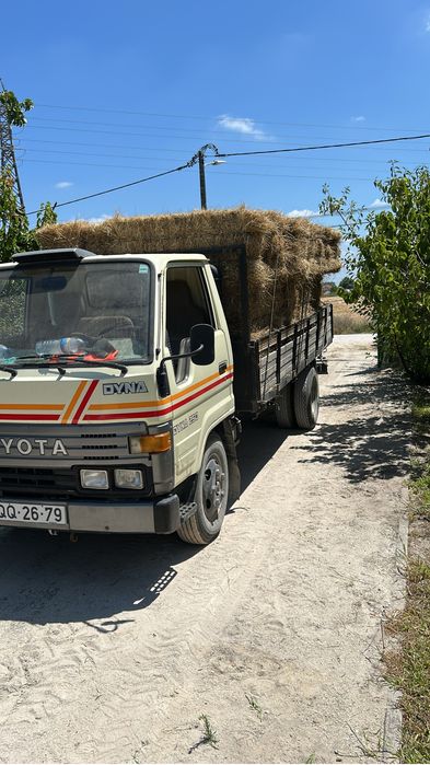 Palha/ feno nascediço