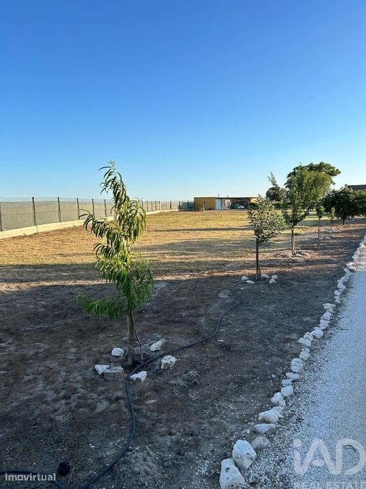 Quinta T2 em Benfica do Ribatejo de 200 m2