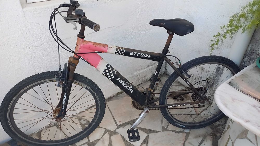 Bicicleta adulto