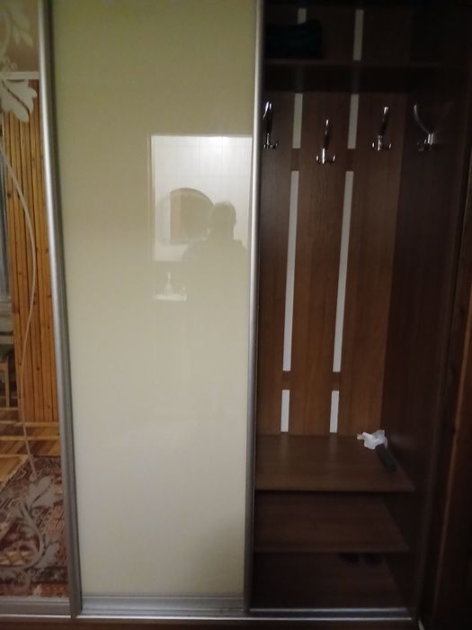 Шафа купе для прихожої