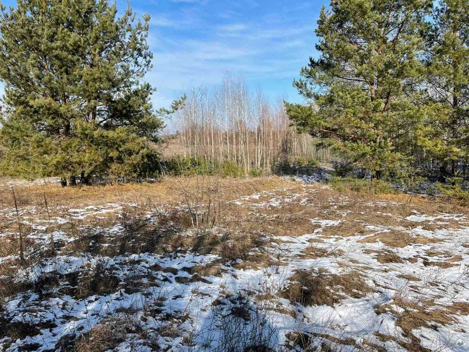 Біля води, Жукин, 20 соток для будівництва