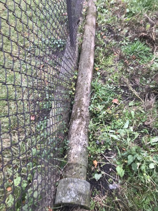 Соснові дошки сухостій